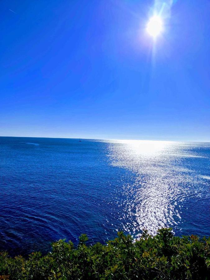 Perla De Mar Daire L'Ametlla de Mar Dış mekan fotoğraf